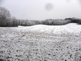 SAINT-ETIENNE-SAINT-GEOIRS - LES RIVOIRES-isere