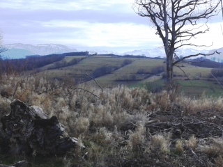 PLAN - CAMP CESAR-isere