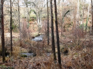 SAINT-BLAISE-DU-BUIS - VOYE ET FURE-isere