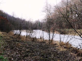 SAINT-BLAISE-DU-BUIS - VOYE ET FURE-isere