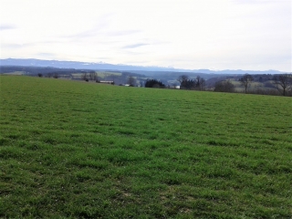 ROYBON  - COMBES DES MERMES-isere