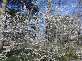 SAINT MARCEL BEL ACCUEIL (2) -isere