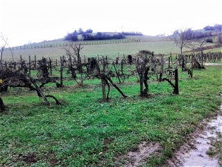 SAINT MARCEL BEL ACCUEIL (2) -isere