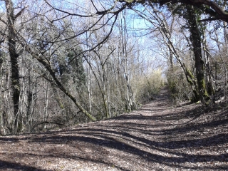 LA BALME LES GROTTES - TOIT DES GROTTES-isere