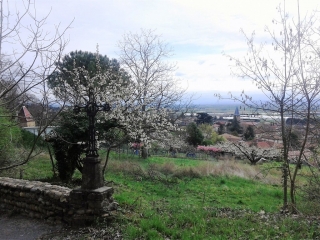ANJOU - FONTAINE SAINTE CATHERINE-isere