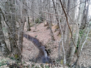 COURS VEYRON - GRAND TAMARIN-isere