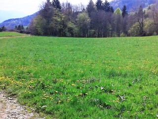 SAINT-AUPRE - LES 2 VILLAGES - COL DU PILORI-isere