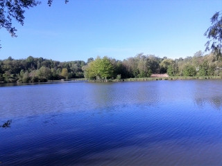 SAINT-ETIENNE-SAINT-GEOIRS - VIE DOUBLAY - ETANG DE CHANCLAU-isere