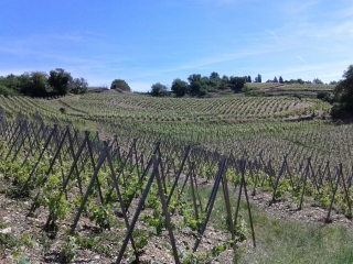 SEYSSUEL - RONDE DES CHATEAUX-isere