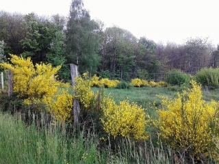 ROYBON - LA VERRERIE-isere