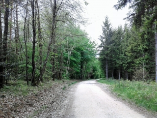 ROYBON - LA VERRERIE-isere