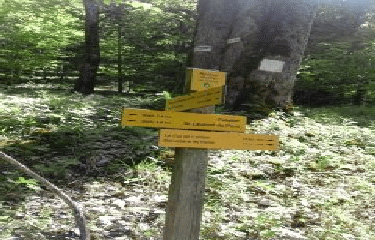 BELVEDERE DE NONNE-isere