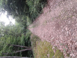 ROYBON - CHEMIN SECRET DE GARGAMELLE-isere