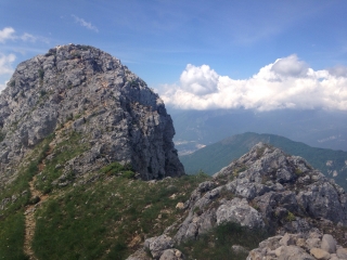 LA PINEA D ORGEVAL-isere