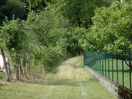 VASSELIN - PETIT TOUR ET MARAIS-isere