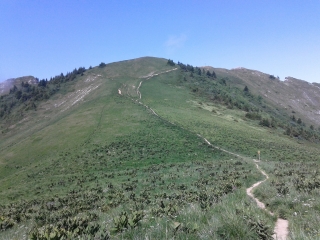 LA RUCHERE - PETIT SOM-isere