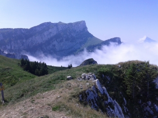 LA RUCHERE - PETIT SOM-isere