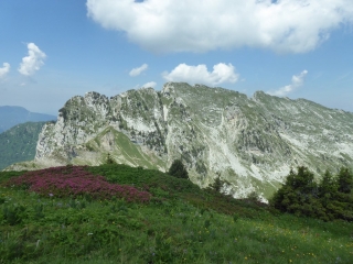 SAINT-PIERRE-DE-CHARTREUSE - DOME DE BELLEFONT-isere