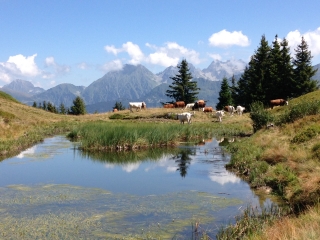 ALPAGE DU CRET DU POULET-isere
