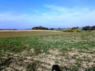 ROCHE - ETANG DE TIERCERY-isere