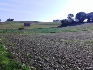 ROCHE - ETANG DE TIERCERY-isere