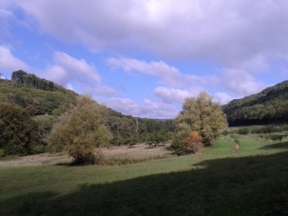 VINAY - LE VEZY-isere