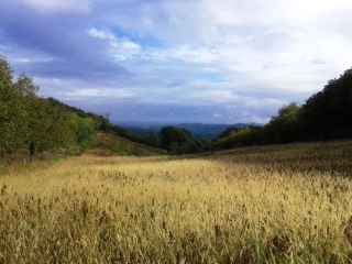 SAINT-LATTIER - VOIE MEDIEVALE-isere