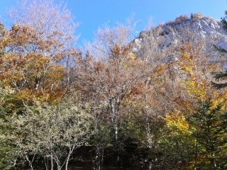 LA PLACETTE - GRANDE SURE-isere