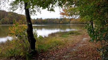 NANTOIN ( LA COTE SAINT ANDRE )-isere