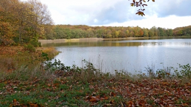 NANTOIN ( LA COTE SAINT ANDRE )-isere