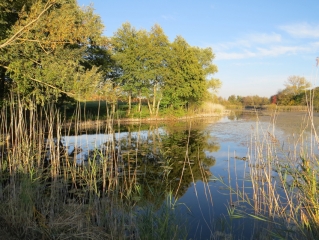 SAINTE-BLANDINE -isere