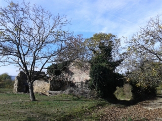 MONTAGNE - MONTMIRAL-isere