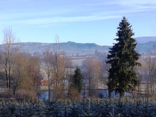 LE PONT-DE-BEAUVOISIN - RUISSEAU DU BOIS DES CARMES-isere