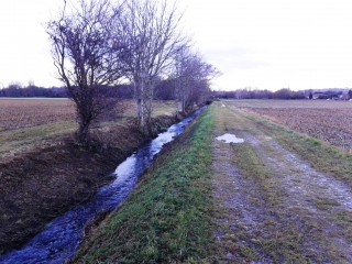 ORNACIEUX - ETANGS DES MARAIS-isere