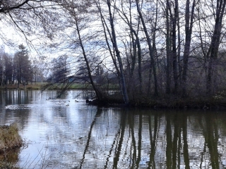 ORNACIEUX - ETANGS DES MARAIS-isere