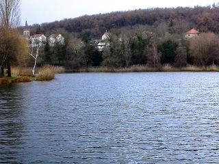 DIZIMIEU - PLATEAU DE CUFIAN-isere