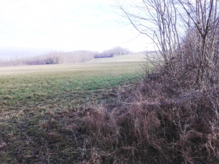 THODURE - LES COLLINES-isere