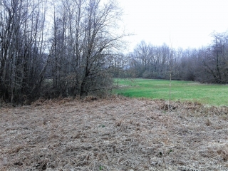 VIRIEU - CHATEAU ET FERMES EN PISE-isere