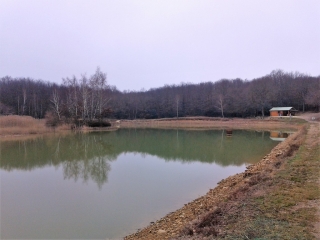 SAINT-CLAIR-SUR-GALAURE - CHAPELLE DU SEREIN - CHATEAU DE MONTFALCON-isere