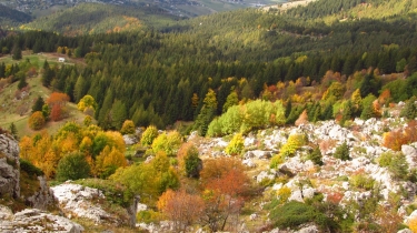 VILLARD-DE-LANS - COL VERT (1766M)-isere