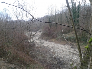 SAINT-BARTHELEMY - GRAND SUZON-isere