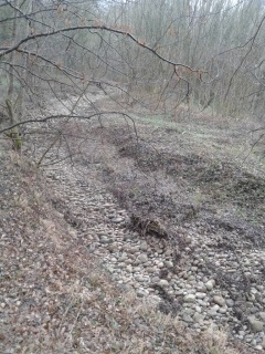 SAINT-BARTHELEMY - GRAND SUZON-isere