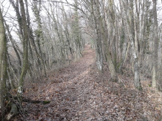 ROCHE - LE GRAND TOUR-isere
