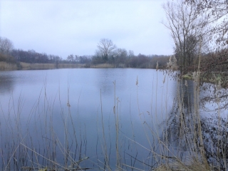 SAINTE-BLANDINE - CHATEAU DU CHATELAR-isere