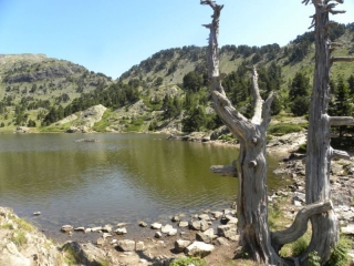 LAC ACHARD (2)-isere