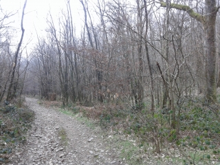 VILLENEUVE-DE-MARC - LE TOUR DE -isere