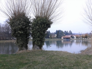 PAJAY - CIRCUIT DES WALLIBIES-isere