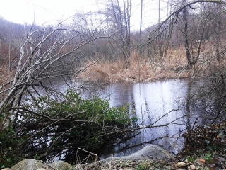 CHAMPIER - LE TOUR-isere
