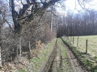 THODURE - DE THORDURE AU NID-isere