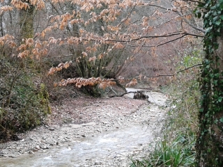 PRESSINS - ENTRE PRESSINS ET ST-JEAN-D AVELAUNE-isere